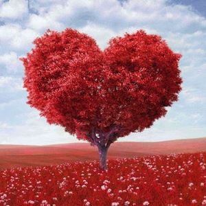 Meet your Posher, Iris